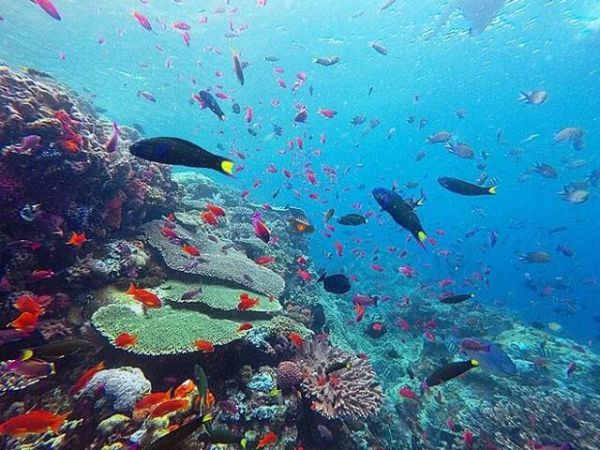 Nha Trang Island Hopping Tour